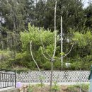 뿌리민박 이미지