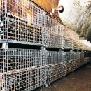 와인터널 이미지