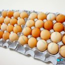 우촌농장 이미지