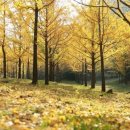 금강 인성 태권도장 이미지