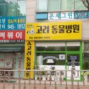 탄현 동물병원 | 파주시 탄현면 동물병원 4 비교 및 솔직 리뷰
