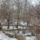 봉제산근린공원 이미지