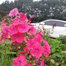 장수송학골로 이미지