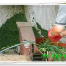 백봉농장 이미지