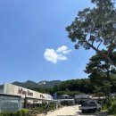 자양꽃직매장 이미지