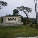 산길 | 모카CC라운딩후기: 구 세일CC 들길 산길 코스 난이도(100번째필드)