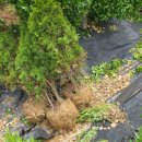 방량농장 이미지