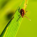 참 글로벌 이미지