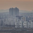 덤덤 이미지