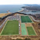 강구대게축구장 이미지