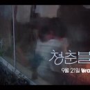 청춘헤어 이미지