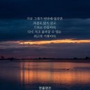 다금정 이미지