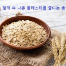 혈액(血液) 속 ‘나쁜 콜레스테롤’ 줄이는 음식(飮食) 7가지 이미지