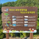 오방색권역 이미지