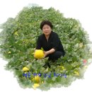 철수농장 이미지