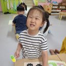 디베르 이미지