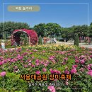 과천 서울대공원 장미축제 테마가든 앨리스 장미원 (일정 비용 입장료 리프트 코끼리 열차)