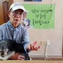 김용만 카카오 검색결과