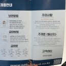 강아지 봉봉 | 광주 강아지케이크 봉봉스밀 수제애견간식 파는곳