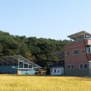 세원태양광발전소 이미지