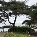 이마트24 동부산대점 | 태안 스테이인터뷰｜감성과 오션뷰를 모두 갖춘 태안 숙소
