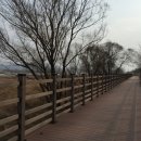 선산대로-32 이미지