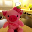 뽑기대마왕 이미지