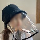 (주)피코