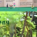 송호관광지 이미지