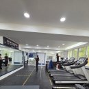 무브데이 목동역점 | 목동역PT] 근막이완과 무릎 재활을 도와주는 무브데이 목동역점 PT 후기