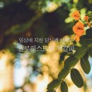 멘트리 이미지