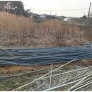 월성 농장 이미지