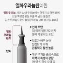 열화루