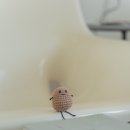 스튜디오니얼바이