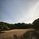 하늘항공방제 - 논산시 성동로 375-30 | 하늘항공방제