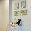 댕댕인럽 이미지