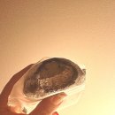 갈비가두근두근플러스 | 삼막사 맛집 갈비가 두근두근 플러스 / 갈비 생각에 나도 둑흔둑흔