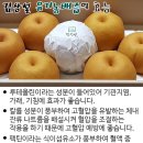 맑은이야기