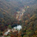 제1차 정기산행(10월31일)전북정읍/내장산 이미지