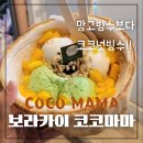 코코아이스크림 - 용인시 기흥구 동백7로 83 | 코코아이스크림