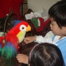 쥬쥬클럽 이미지