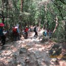 대가약수터 이미지