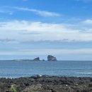 산방산 탄산온천 펜션 이미지