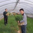 선임농장 이미지