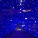 두호동주민센터 이미지