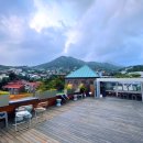 카페 디(CAFE D) 이미지