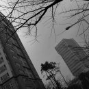 산성시장11 이미지