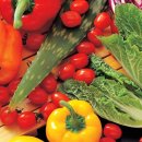 식자재도매유통 이미지