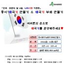 안성시사계절썰매장