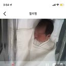 남양우유 신청양가정대리점 | 봄빛조리원2관 13박 14일 솔직후기(내부시설/식사/프로그램/아기케어 등)